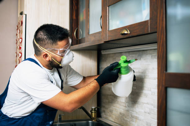 Best Commercial Pest Control Services  in Ransomville, NY