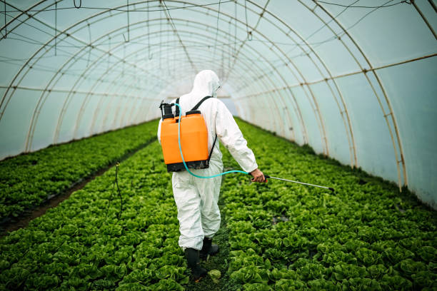 Best Residential Pest Control  in Ransomville, NY