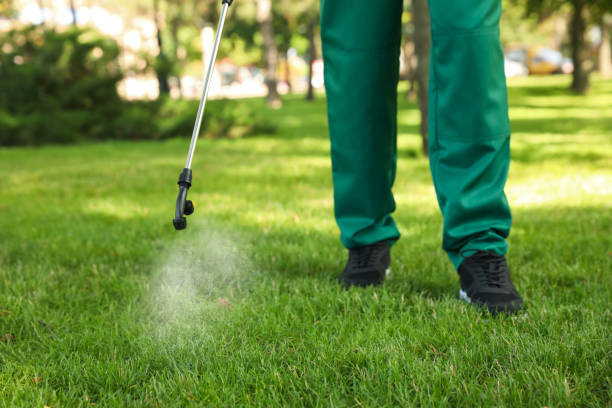 Best Local Pest Control Services  in Ransomville, NY