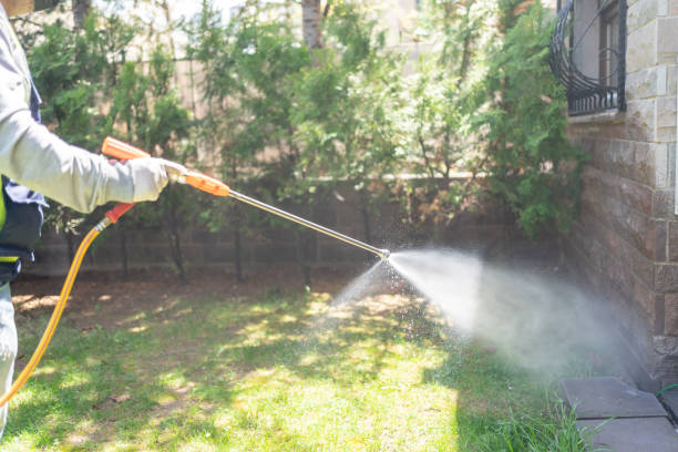 Best Bird Control  in Ransomville, NY