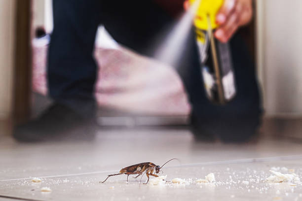 Pest Control Cost in Ransomville, NY