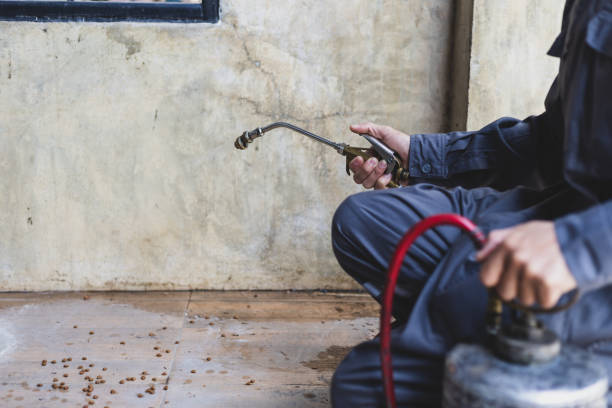 Best Pest Control Cost  in Ransomville, NY