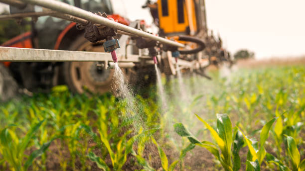 Reliable Ransomville, NY Pest Control Solutions