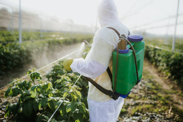 Best Ant Control Services  in Ransomville, NY